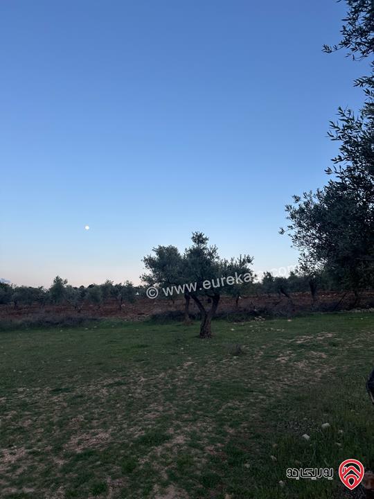 قطعة ارض مساحة 1 دونم و 720م للبيع في السلط زي منطقة مزارع وفلل مزروعة زيتون 