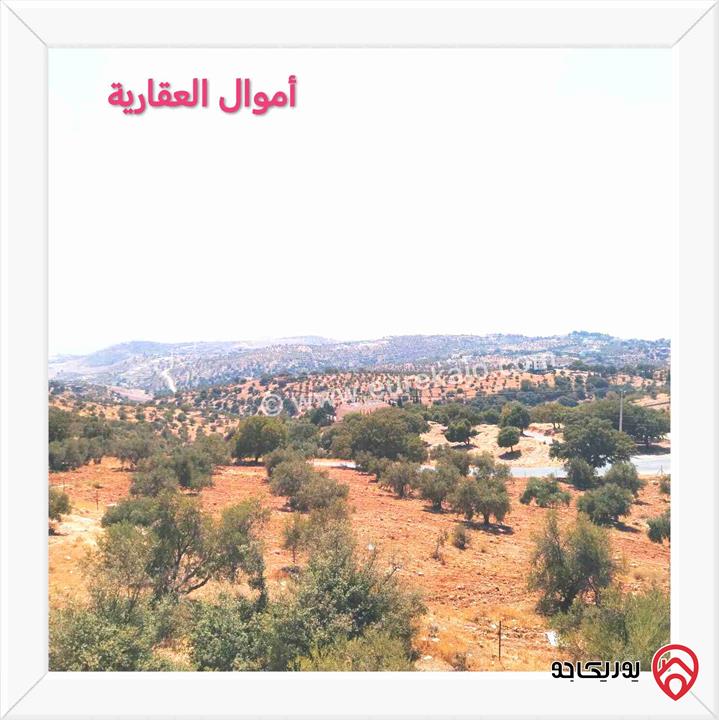 قطعة ارض مساحة 530م للبيع من أراضي غرب عمان - بدر الجديدة
