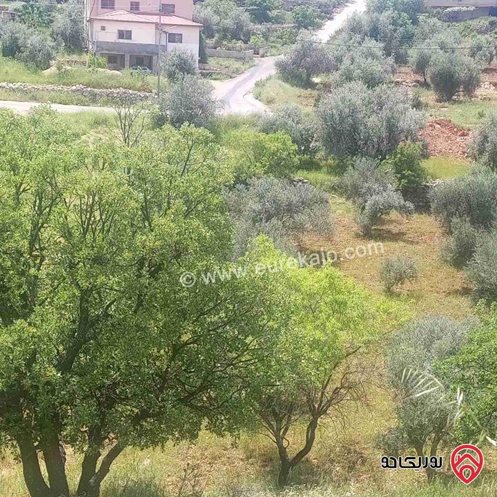 قطعة ارض مساحة 2600م للبيع في عمان - منطقة بدر الجديدة 