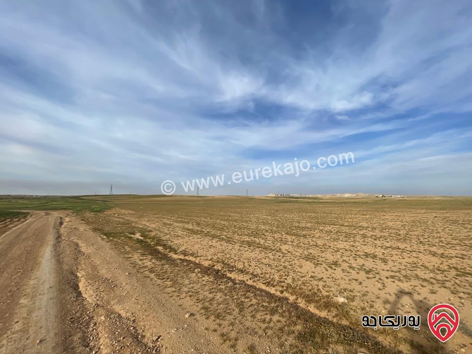 أرض مساحة 21 دونم و 400م للبيع من أراضي شرق عمان - الماضونة قرب جمرك عمان الجديد 