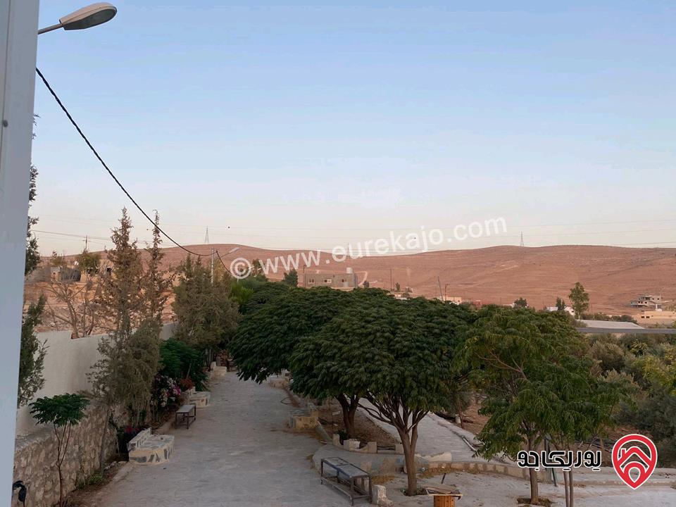 مزرعة مساحة الأرض 4 دونم و 60م للبيع في المفرق - بلعما مع أشجار زيتون مع أشجار زينة