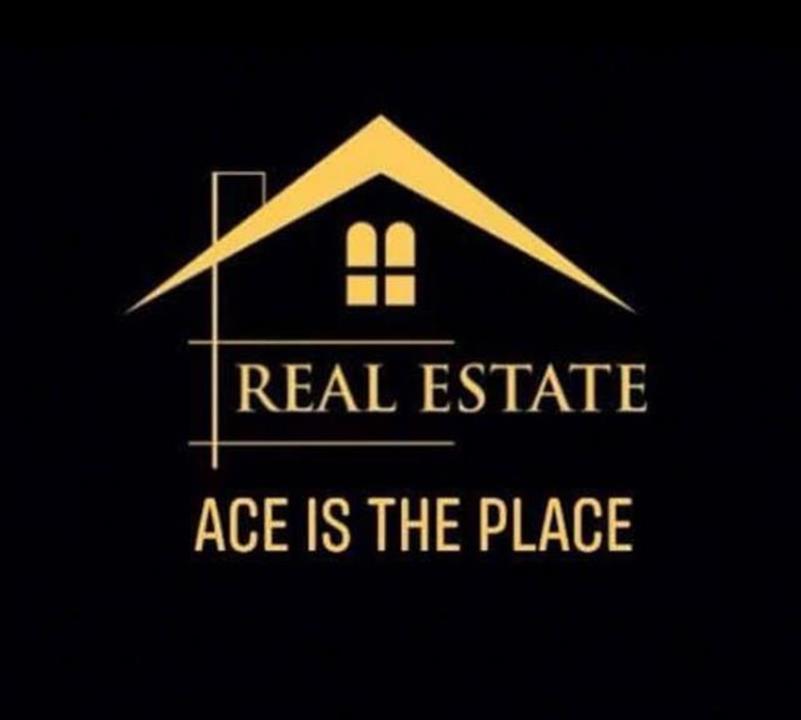 Ace real estate 