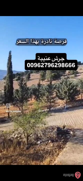 قطعة ارض استثمارية مساحة 3 دونم و 400م للبيع في جرش عنيبة