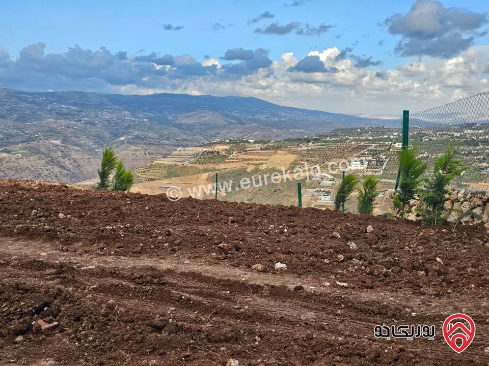 قطعتان متلاصقتان مساحة القطعة 2 دونم و 250م للبيع في السلط - الصبيحي