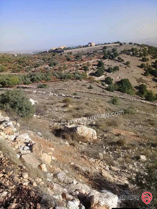 مزرعة مساحة الأرض 26 دونم للبيع في جرش - سوف