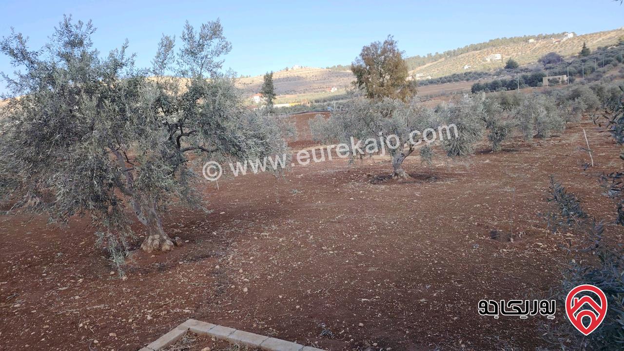 مزرعة مساحة الأرض 4 دونم للبيع في المفرق شرق جرش نادره 