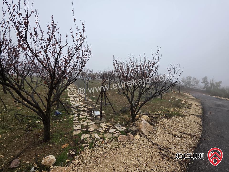 قطعة أرض مساحة 750م للبيع في عمان - ناعور