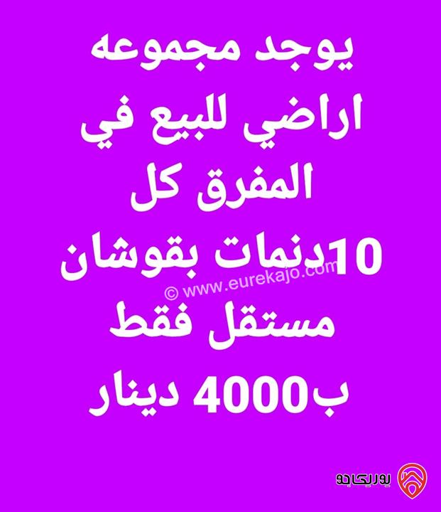 قطعة أرض مساحة 2 دونم و 300م من أرض مشتركة للبيع في اربد - الحصن حوض شمشان 