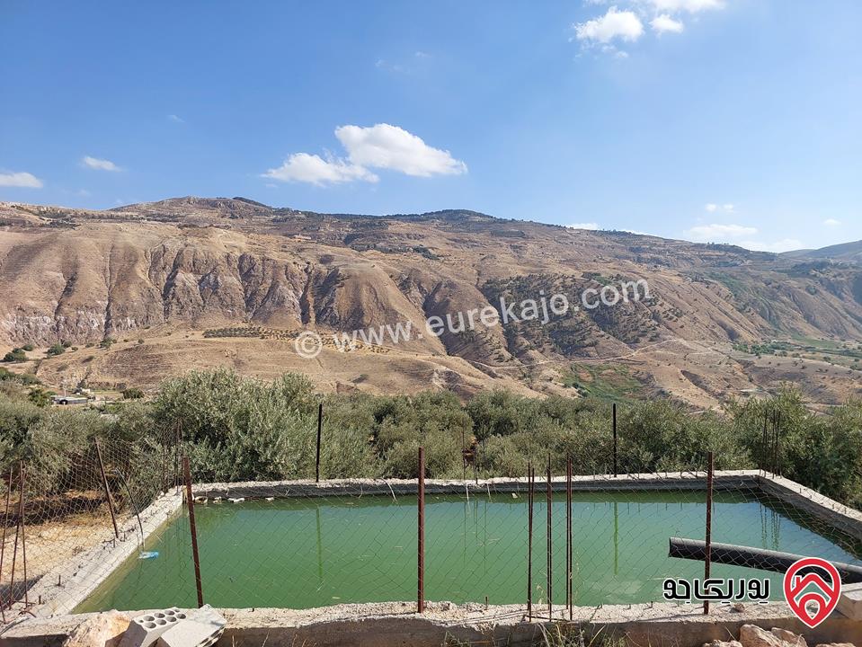 مزرعة مساحة 4 دونم للبيع في غرب عمان - البحاث 