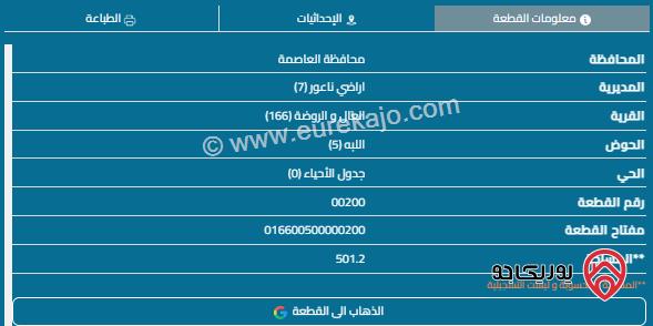 قطعة ارض مساحة 501م للبيع في ناعور 