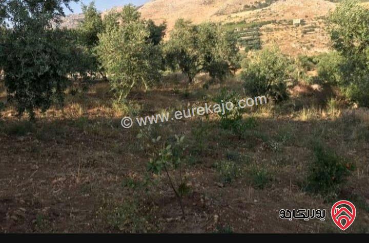 قطعتين أرض مشاع مساحة 950م و 800م للبيع في عمان - بدر الجديدة