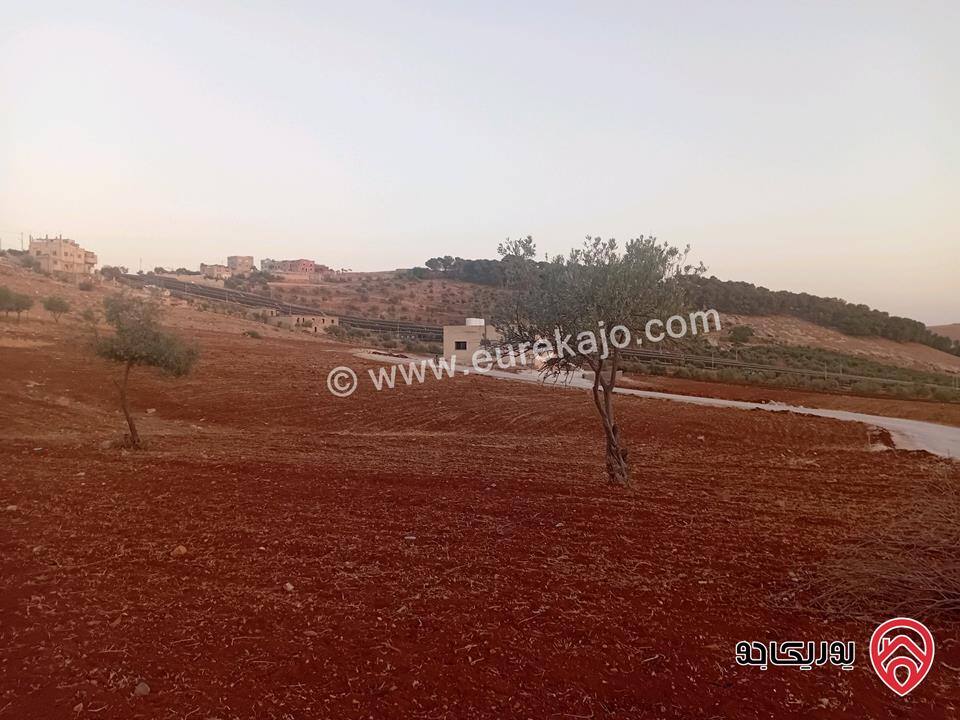 قطعة أرض مساحة 865م للبيع في مأدبا - الفيصلية