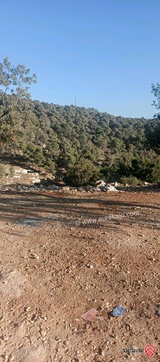 أرض مساحة 650متر للبيع في عمان - ابو السوس أسكان المهندسين