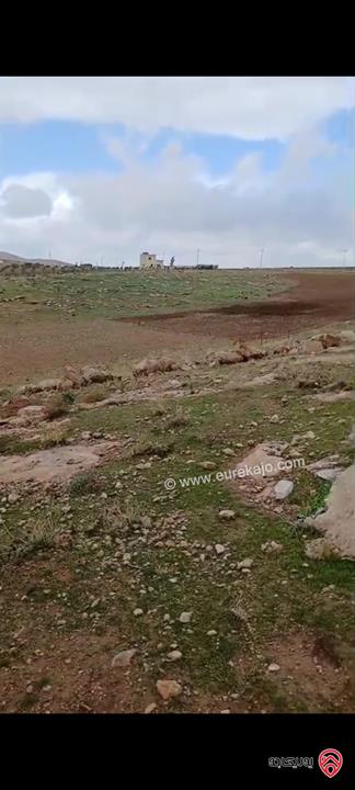 أرض مساحة 5 دونم للبيع في مادبا – لب