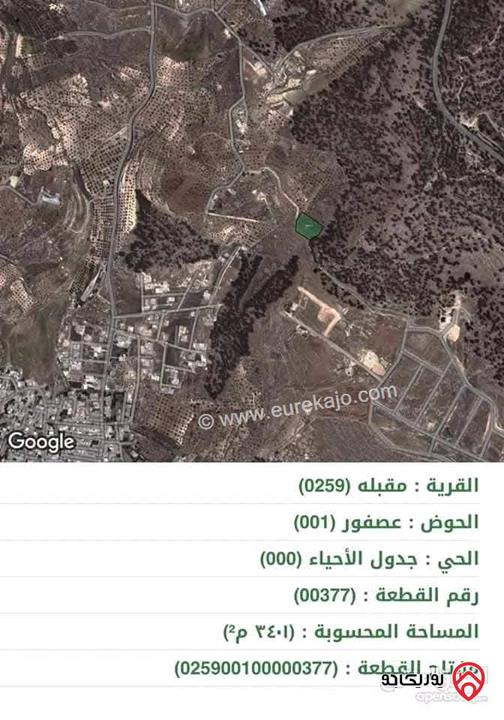 قطعة أرض مساحة 3 دونم و 401م للبيع في جرش - مقبله