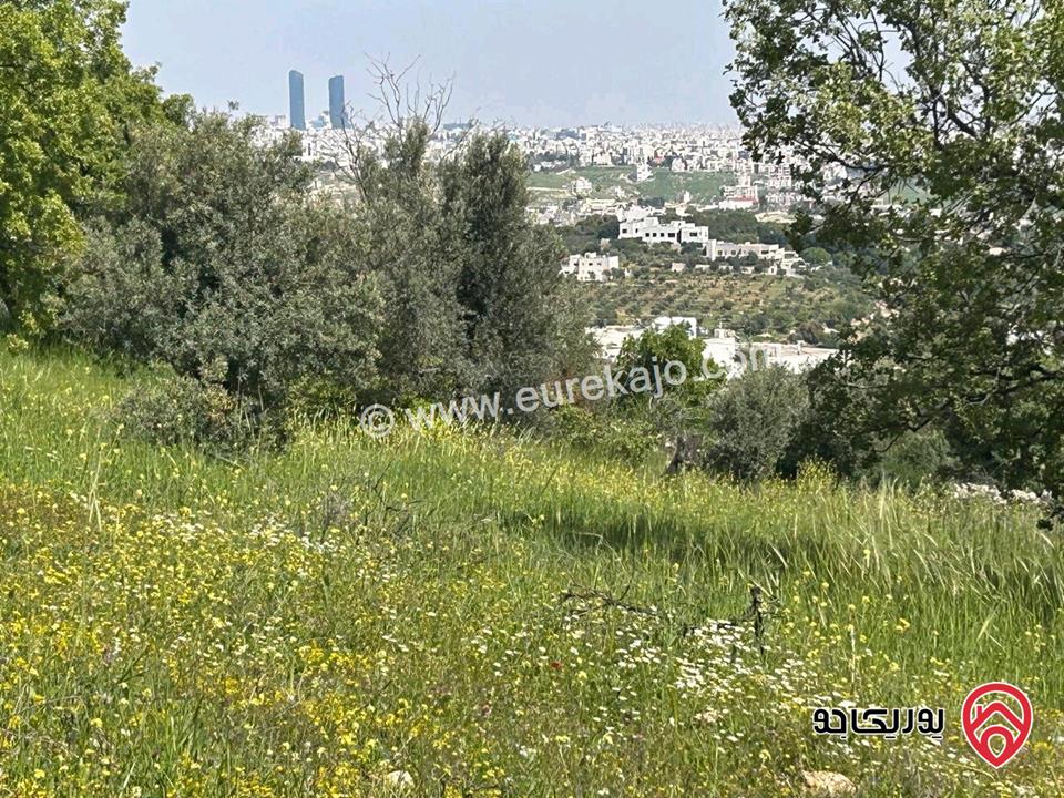 قطعة أرض مساحة 3106م للبيع من أراضي غرب عمان - قرية بلال حوض الحديب 