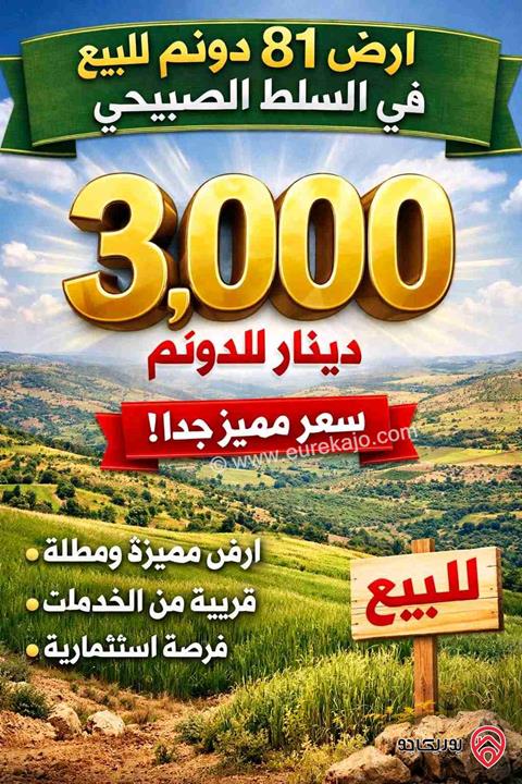 ارض مساحة 81 دونم للبيع في السلط - الصبيحي 