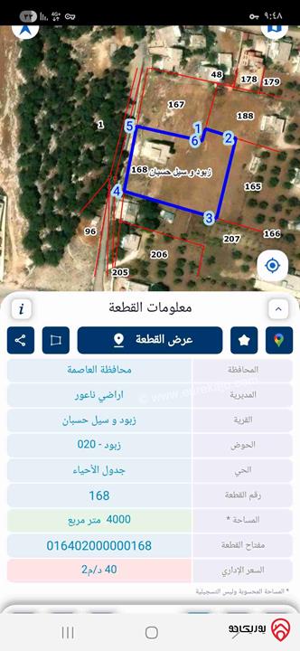 أرض مساحة 4 دونم للبيع في عمان - اراضي ناعور/زبود وسيل حسبان