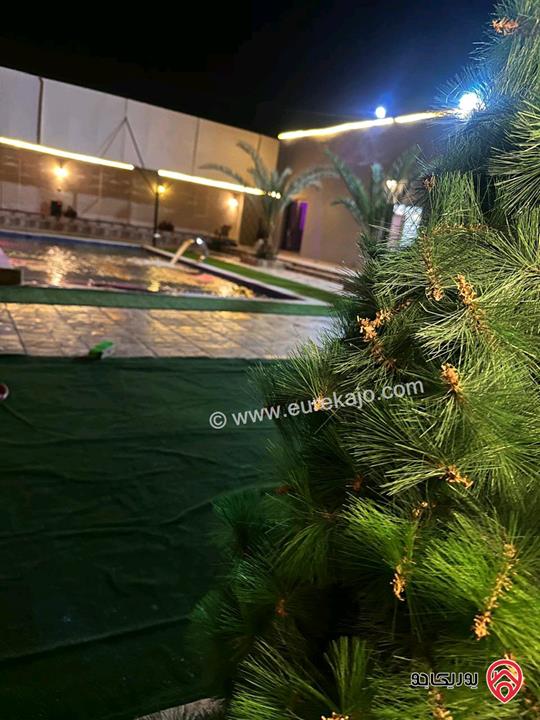شاليه مفروش للايجار اليومي في البحر الميت - الرامة