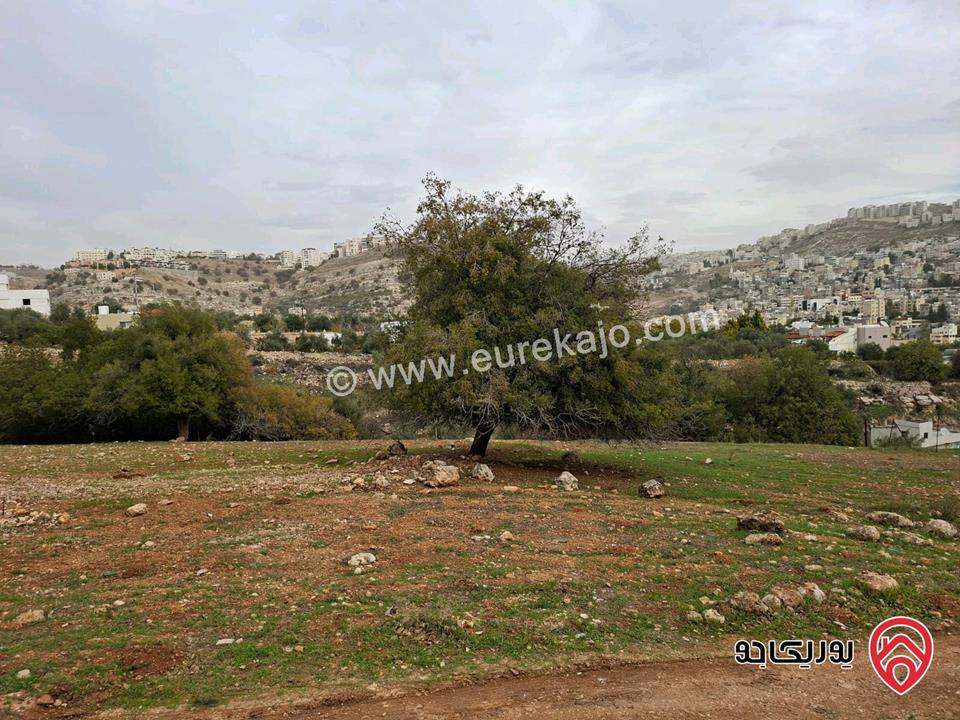قطعة أرض مساحة 603م للبيع من أراضي غرب عمان - منطقة النعير منطقة وادي السير من المالك مباشرة 