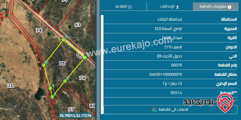 قطعة ارض مساحة 3 دونم و 915م للبيع من المالك في مدينة السلط - سيحان قرب نبع مياه كبير