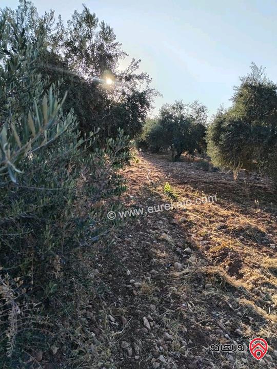 مزرعة مساحة الأرض 2 دونم و 500م والبناء 250م للبيع من أراضي شمال عمان - موبص