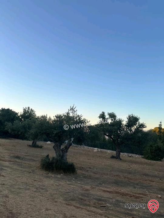 قطعة ارض مساحة 1720م للبيع في اجمل مناطق السلط زي منطقة حيوية وجميلة جدا مزراع وفلل فقط قريبة من كل الخدمات 