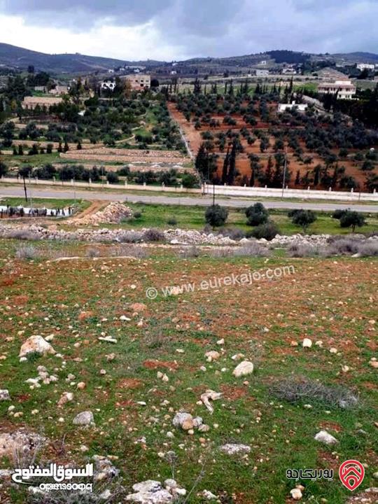 قطعة أرض مساحة 5 دونم و 25م للبيع في المفرق - دحل