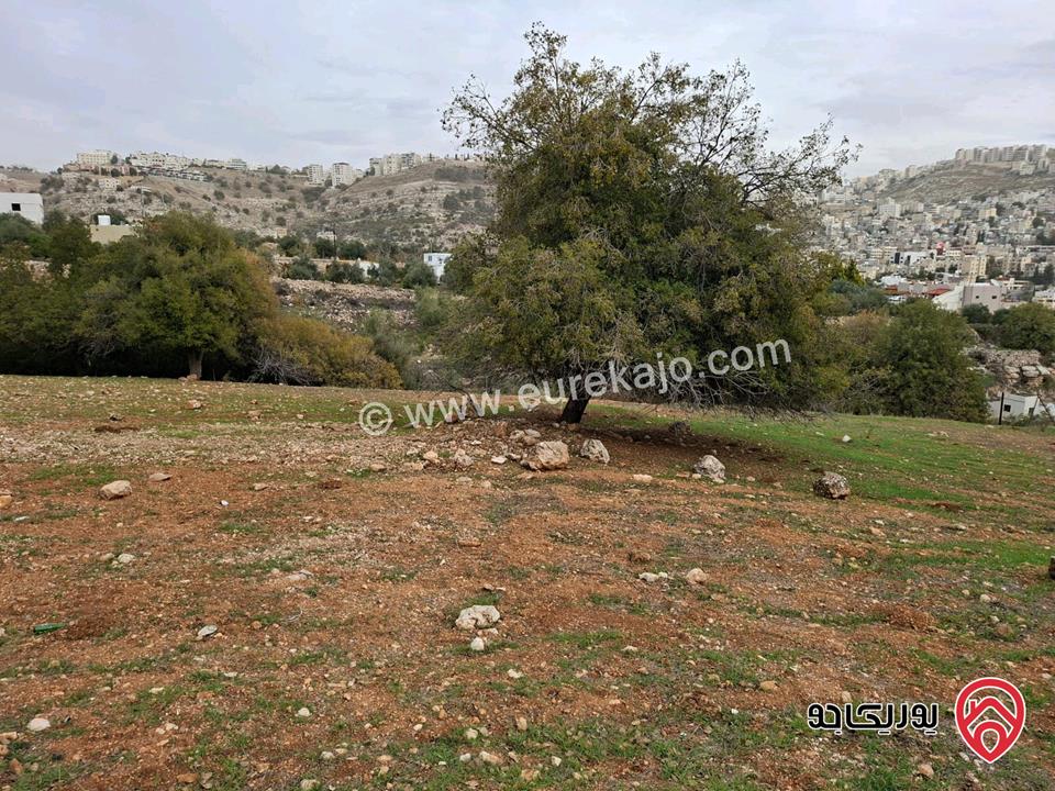 قطعة أرض مساحة 603م للبيع من أراضي غرب عمان - منطقة النعير منطقة وادي السير من المالك مباشرة 