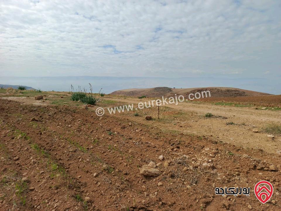 قطعة ارض مستوية مساحتها 3400م قوشان مستقل واصلها شارع ترابي للبيع في السلط الصبيحي - ميسرا  