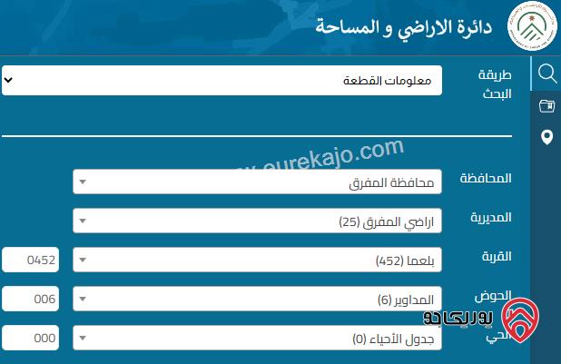 ارض خارج التنظيم مساحة 10 دونم للبيع في المفرق - بلعما