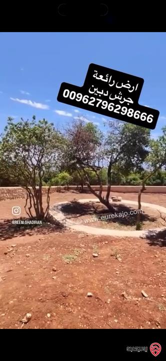 قطعة ارض مميزة مساحة 1 دونم للبيع في جرش - دبين