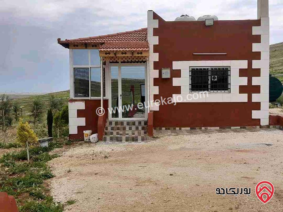 مزرعة مساحة 4 دونم للبيع في المفرق - بلعما 