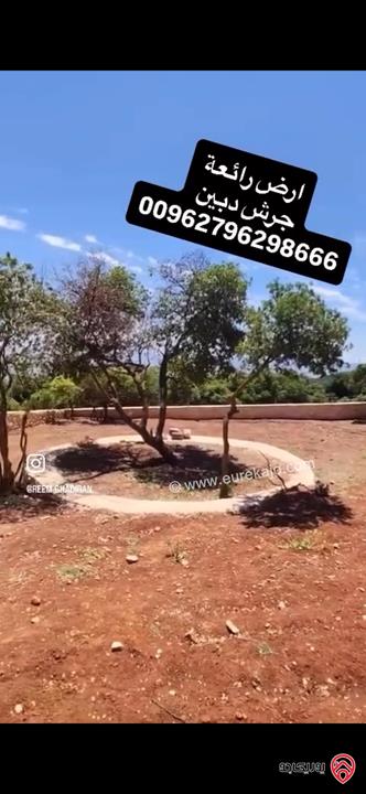 قطعة ارض مميزة مسساحة 2 دونم للبيع اراضي جرش دبين 