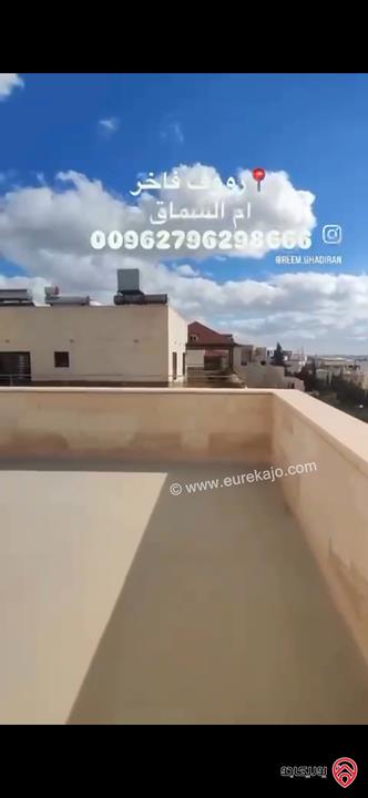 رووف طابقي مساحة كلية 463م للبيع في عمان - ام السماق 