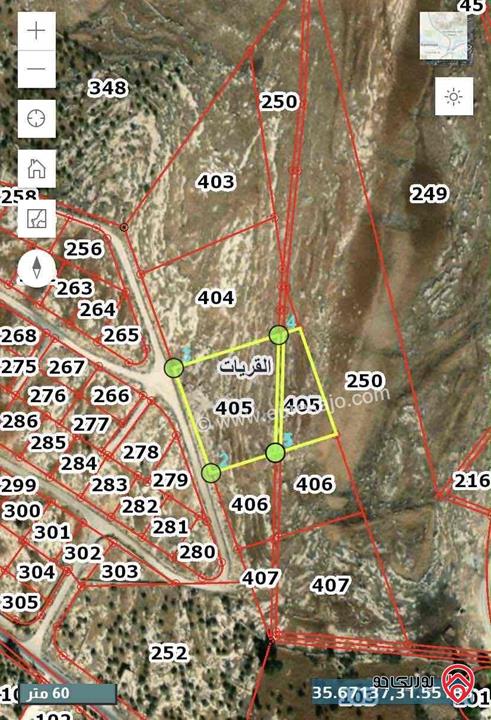 أرض مساحة 5 دونم و 65م للبيع في مادبا - من أراضي ذيبان - العريض