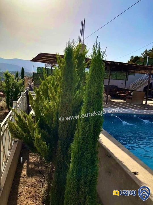 شاليه - مزرعة Toleen chalet للايجار اليومي في جرش 