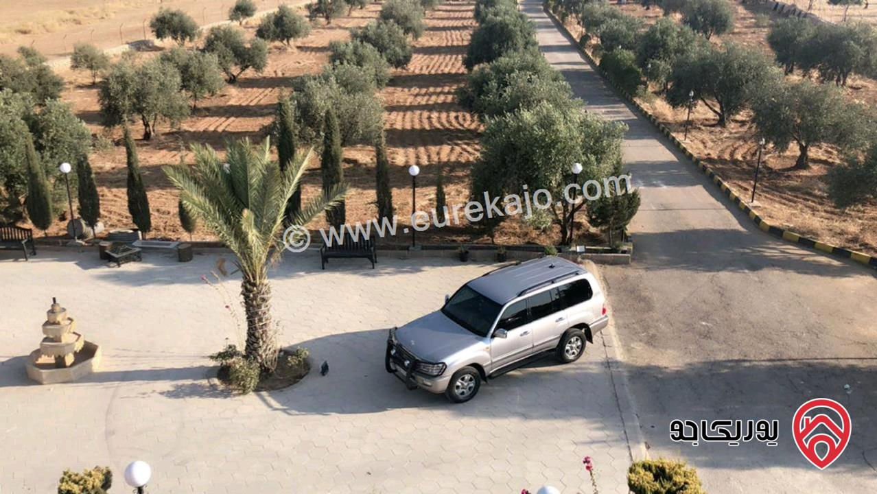 مزرعة مساحة الأرض 12 دونم والبناء 300م للبيع في عمان - جلول