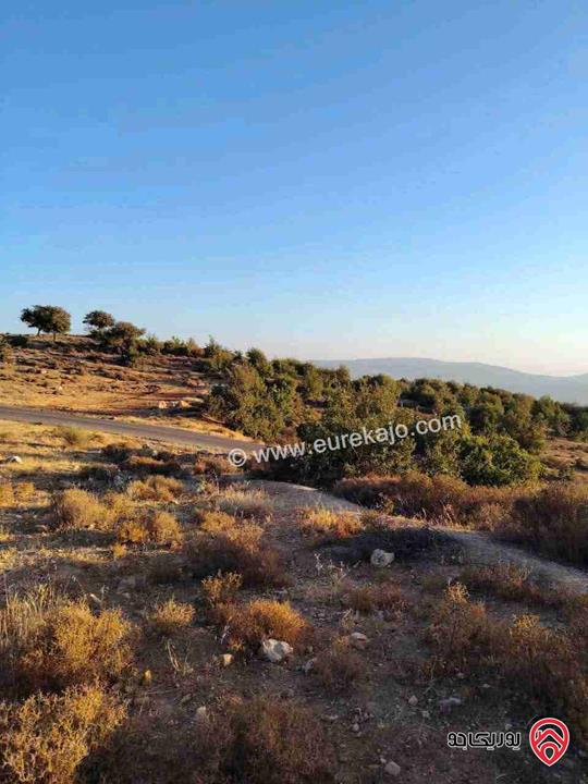 أرض مساحة 1 دونم للبيع في جرش بين الاحراش بإطلالة بانوراما قوشان مستقل 
