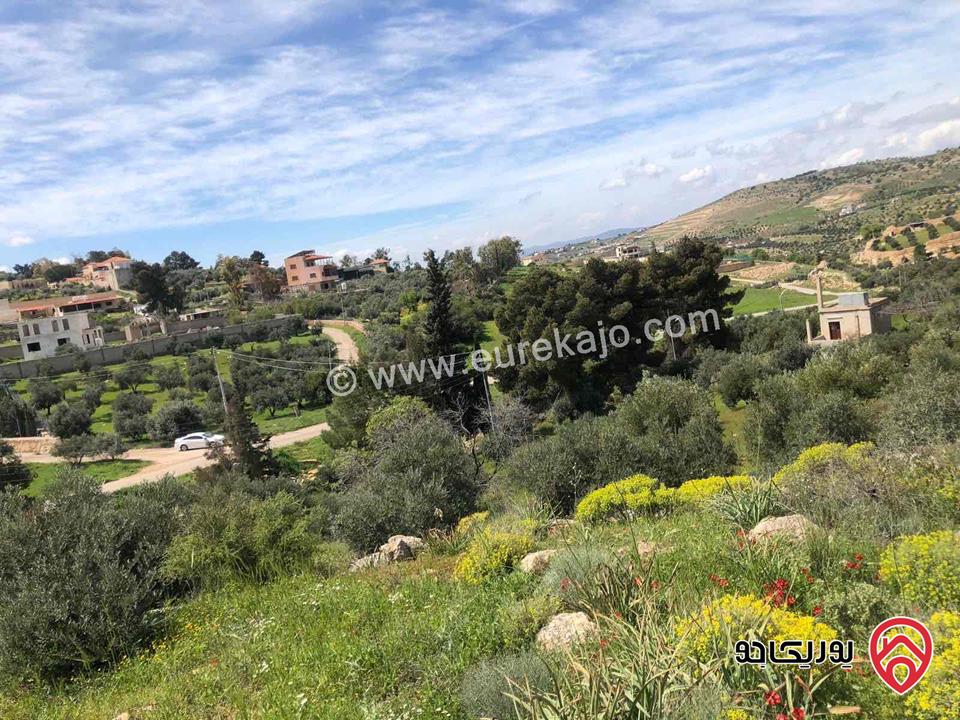 قطعة ارض مساحة 6 دونم و 500م للبيع كاملة او جزء منها في الزرقاء - الكمشة حوض البيرة 