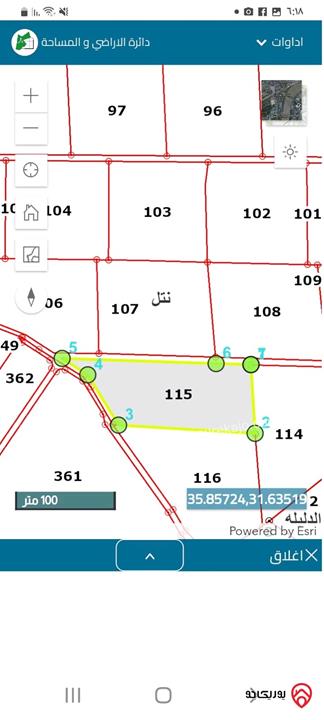 أرض مساحة 10 دونم للبيع من اراضي جنوب عمان - نتل حوض الربابه