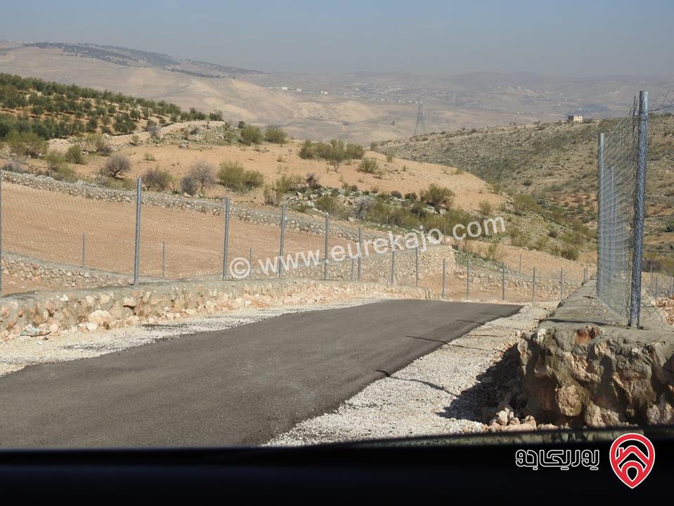 أرض مساحة 3 دونم و 500م للبيع في الزرقاء - العالوك