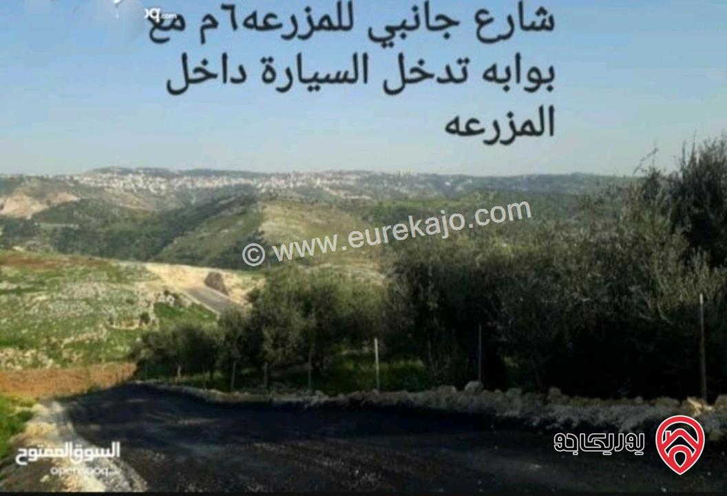 ارض مساحة 3 دونم و 427م للبيع في السلط 