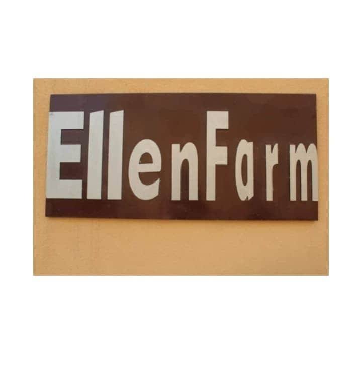 مزرعة ellen farm