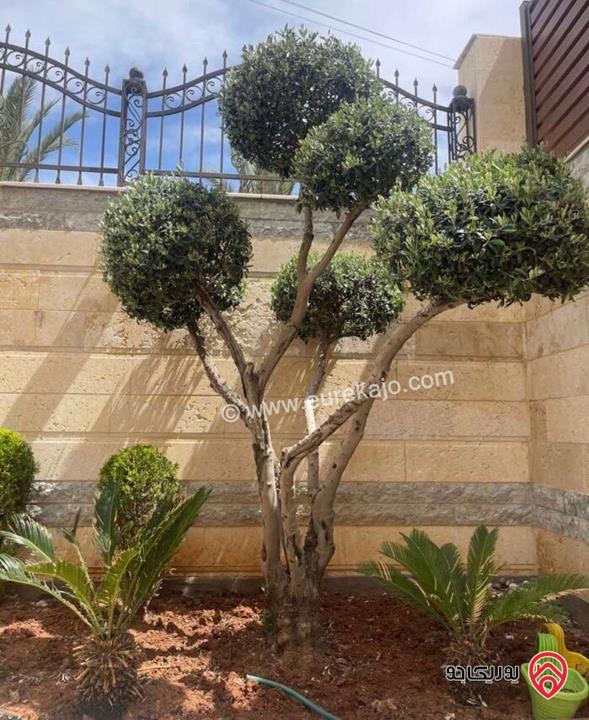 شقة مميزة مشمسة شبه ارضية مساحة 200م داخلي و 150م خارجي للايجار في عمان - خلدا 