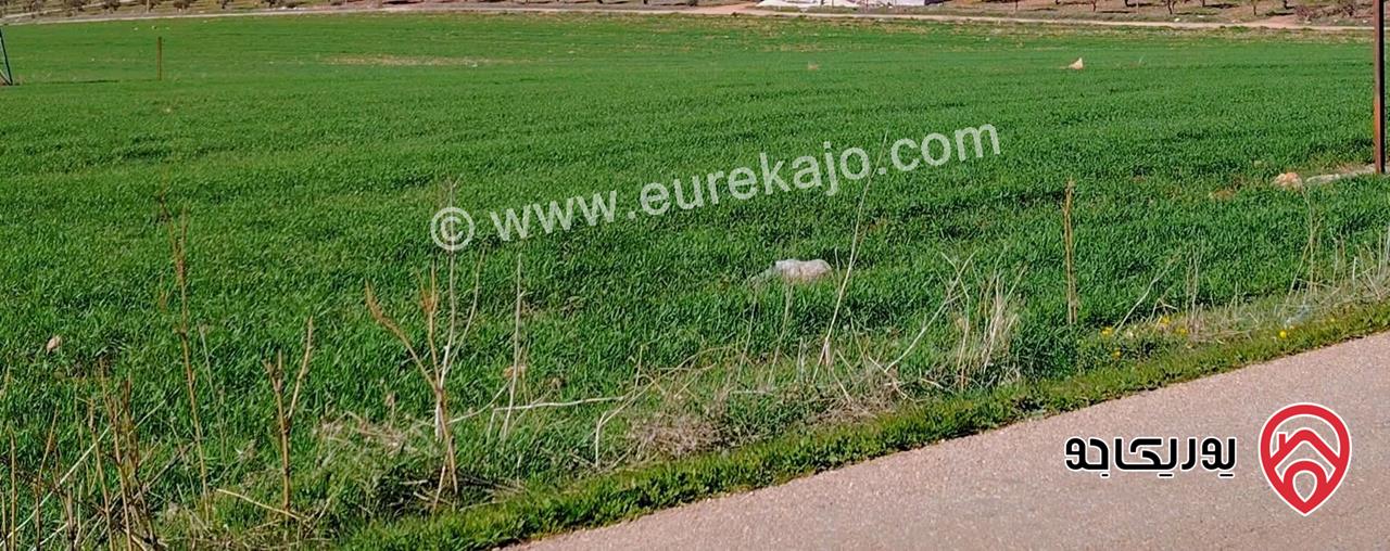 أرض 1 دونم من أصل 12 دونم للبيع في اربد - شارع البتراء