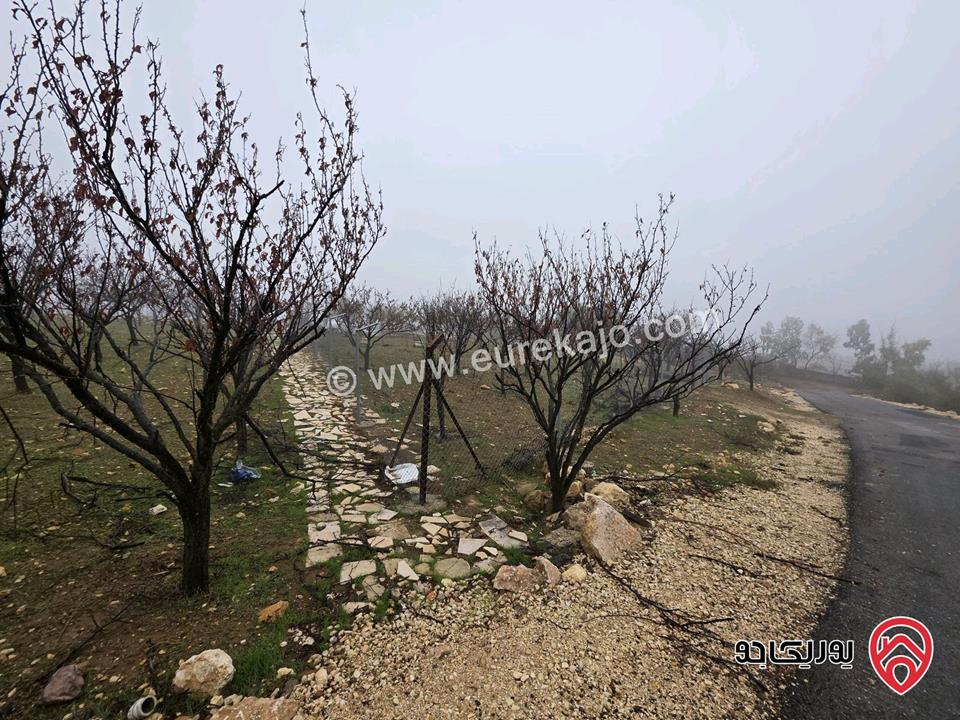 أرض مساحة 750م للبيع في عمان - ناعور