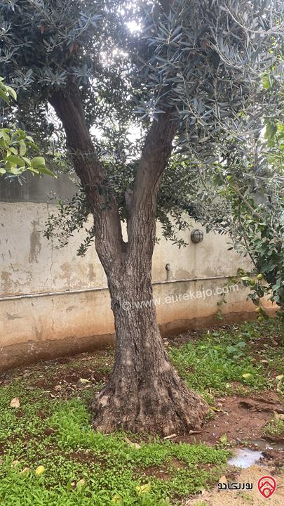قطعة أرض مميزة ع شارعين مساحة 530م واجهة عريضة للبيع في عمان - اليادودة