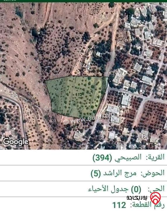 ارض مساحة 10 دونم للبيع في السلط - الصبيحي 