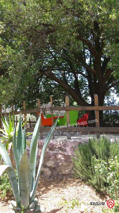 أرض مساحة 936م مميزة للبيع في السلط الصبيحي بيوضة تصلح سكن أو مزرعة أو شاليه خاص 